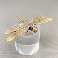 Dragonfly Brass Figurine