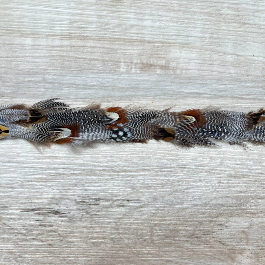 Spotted Eagle Feather Hat Band