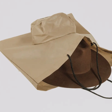 Travel Hat Bag