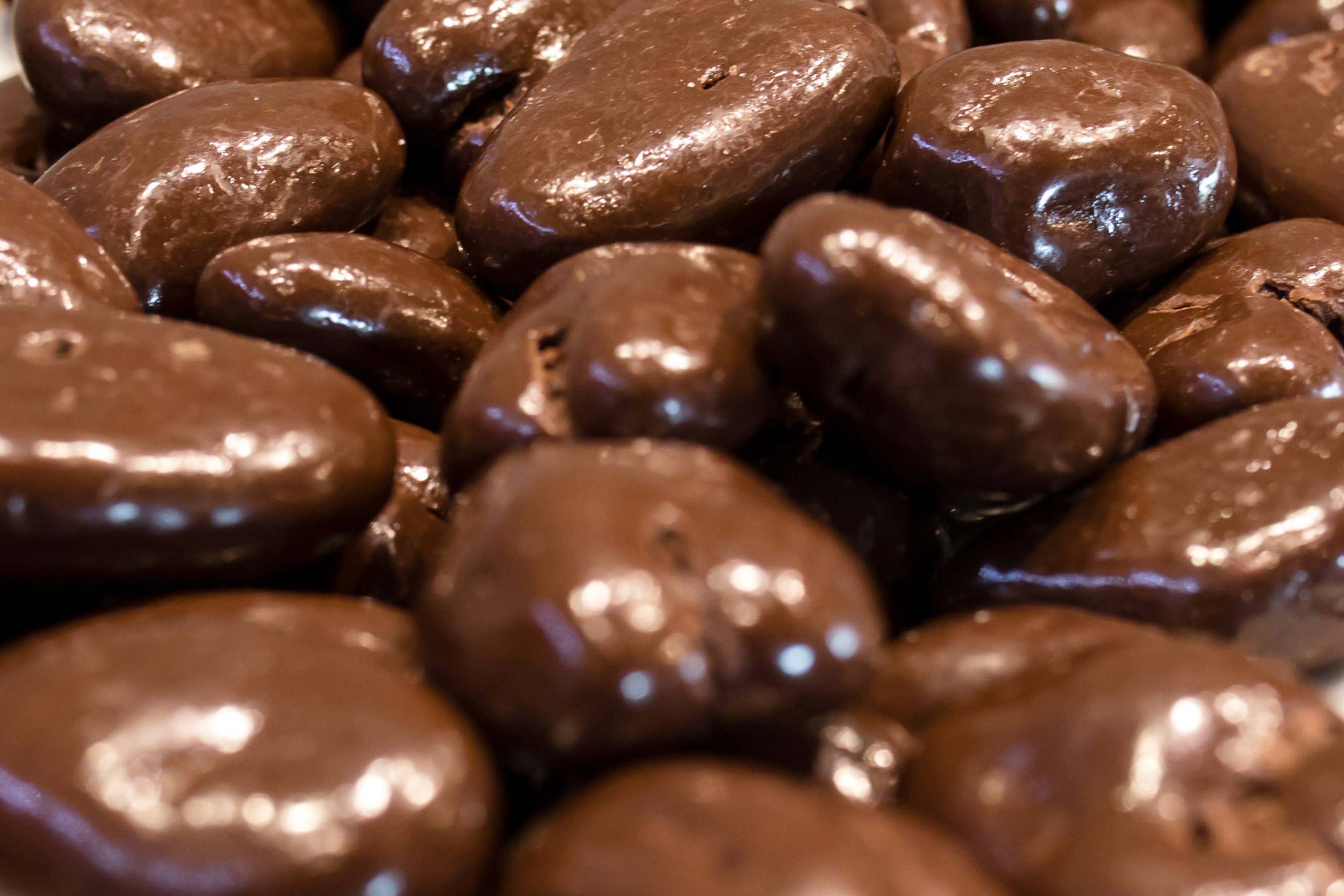 Milk Chocolate Pecans - 8 oz Roadie Tub