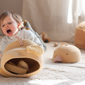 Basket Charlie the Chicken