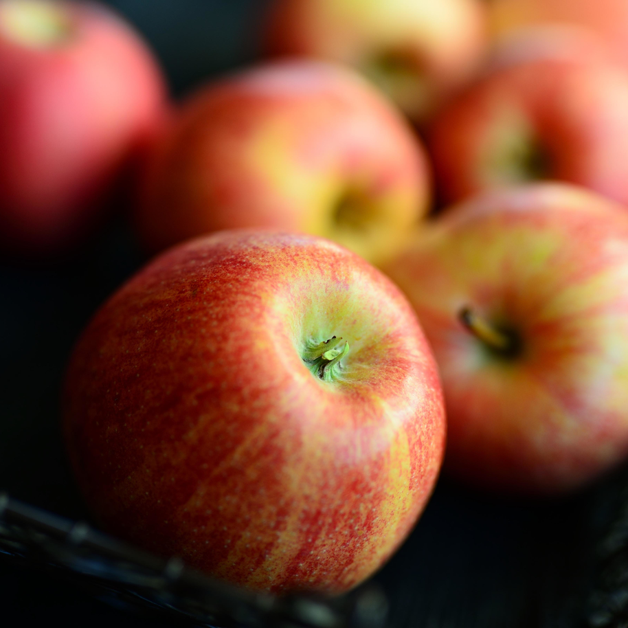Apple Maple Bourbon - 16oz Soy Wax, Wood Wick Candle