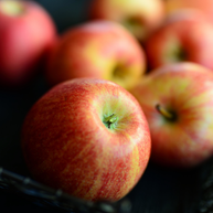 Apple Maple Bourbon - 16oz Soy Wax, Wood Wick Candle