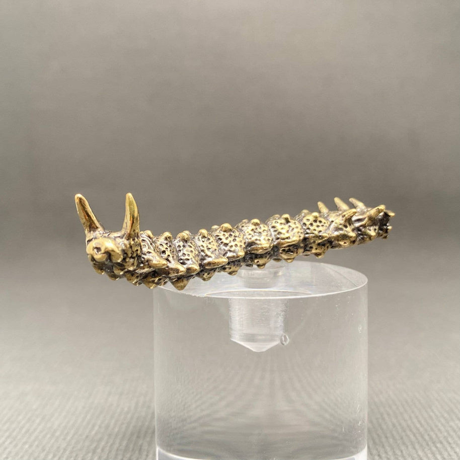 Brass Caterpillar