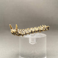 Brass Caterpillar