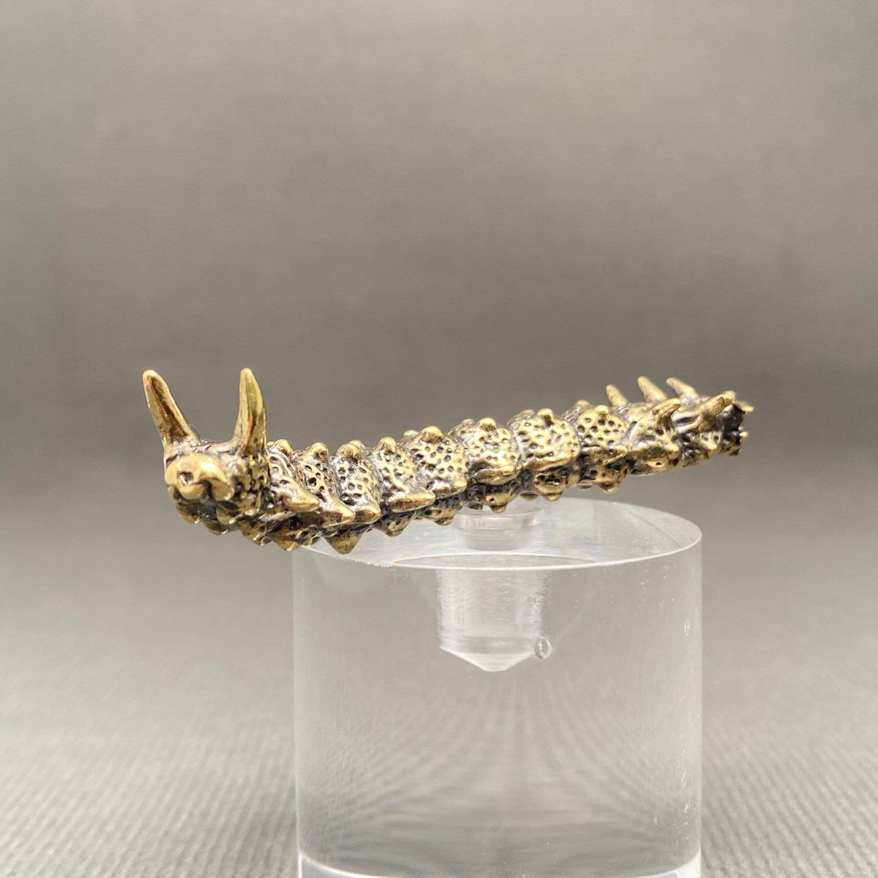 Brass Caterpillar