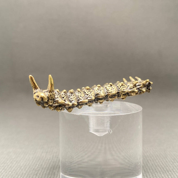 Brass Caterpillar