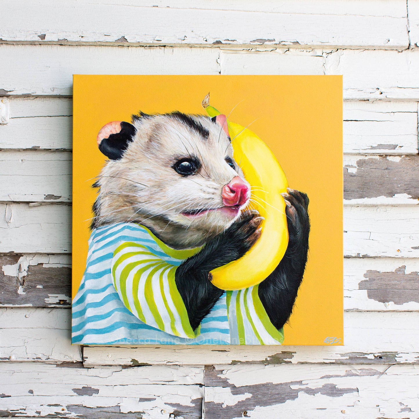 Banana Possum Print