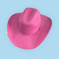 Vegan Suede Cowboy Hat 