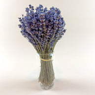 Dark Blue Lavender – Naturally Air-Dried Florals