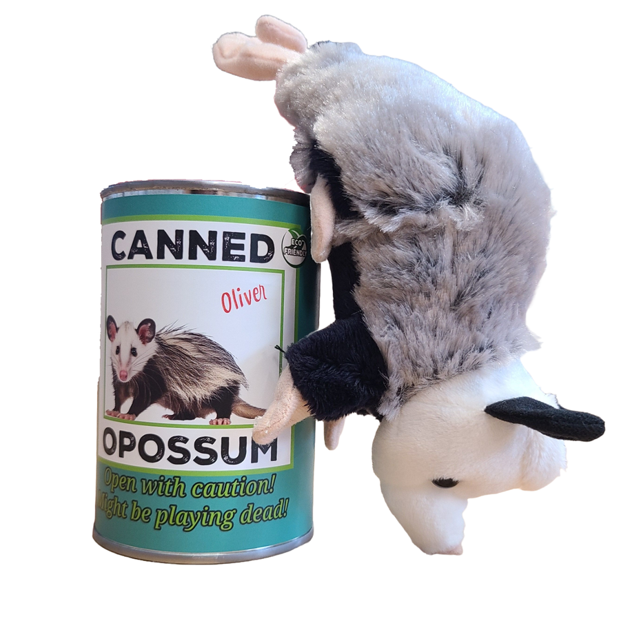 Oliver the Canned Opossum