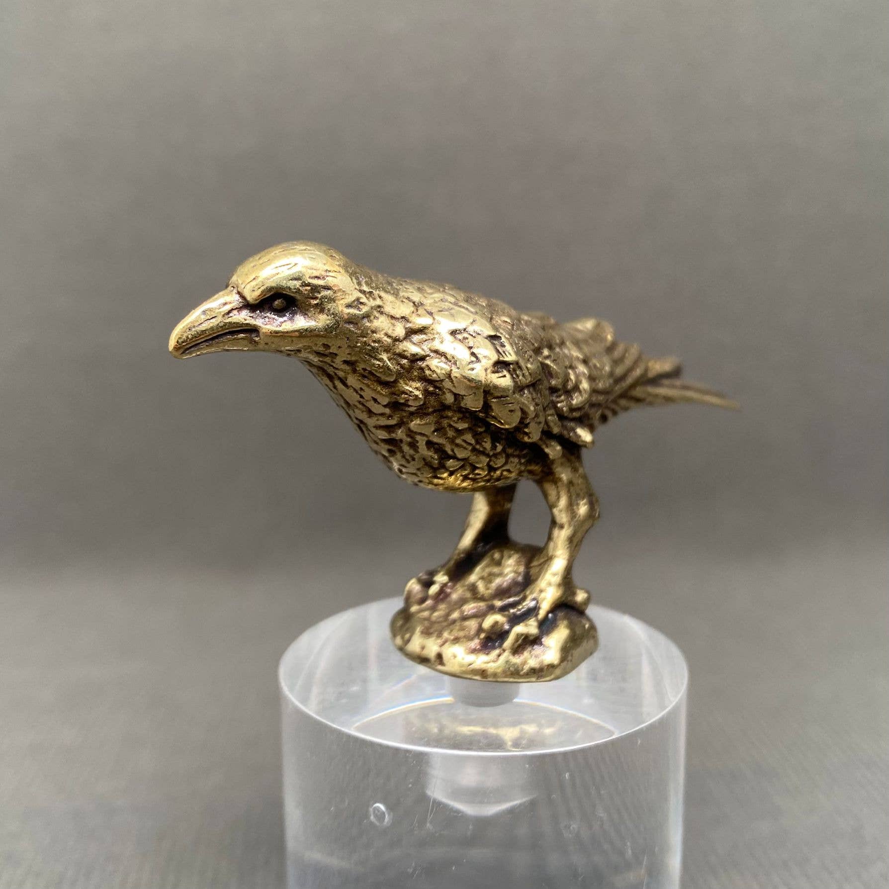 Brass Crow