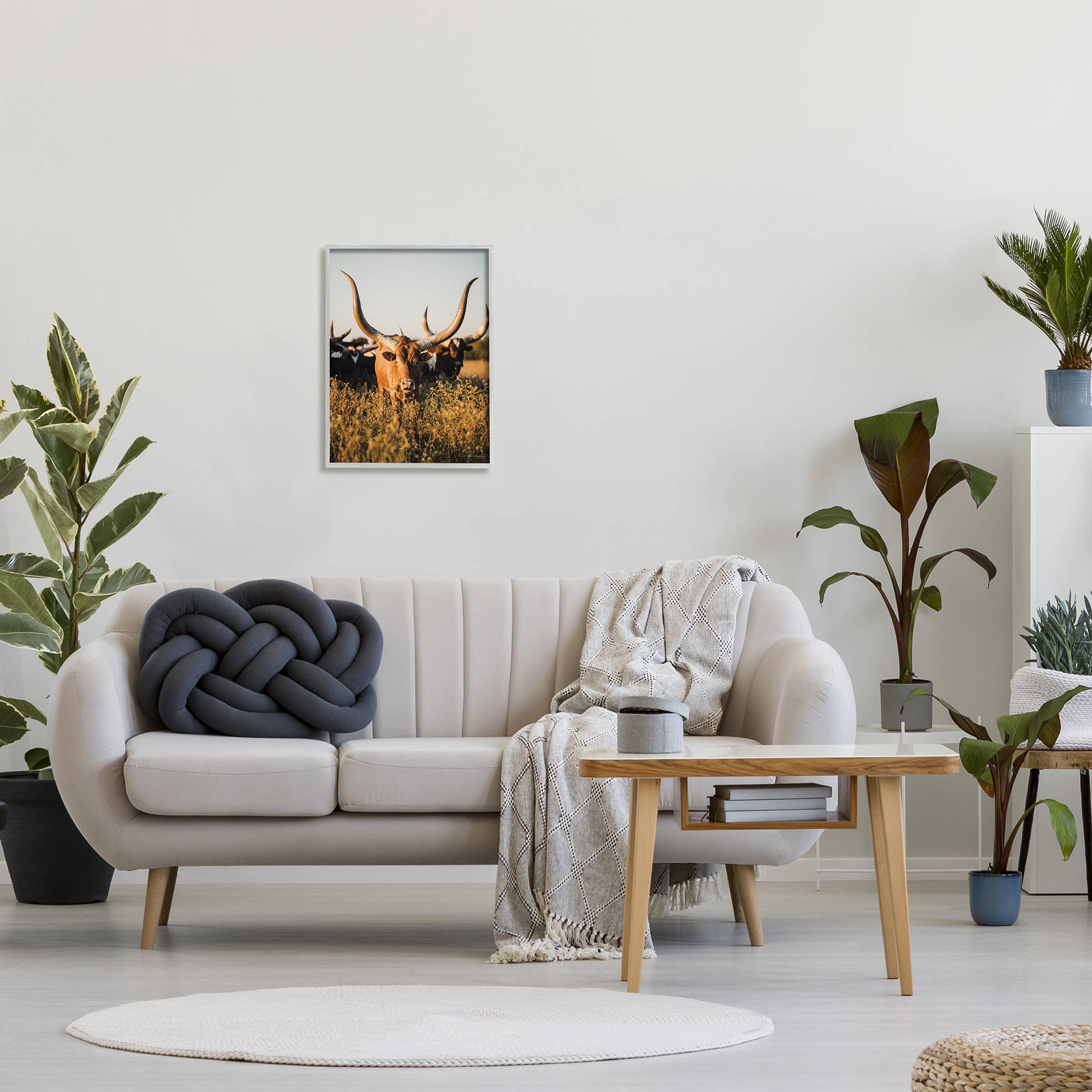 Longhorn Herd Photography Framed