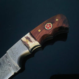 Damascus Knife with Walnut & Stag Horn Handle