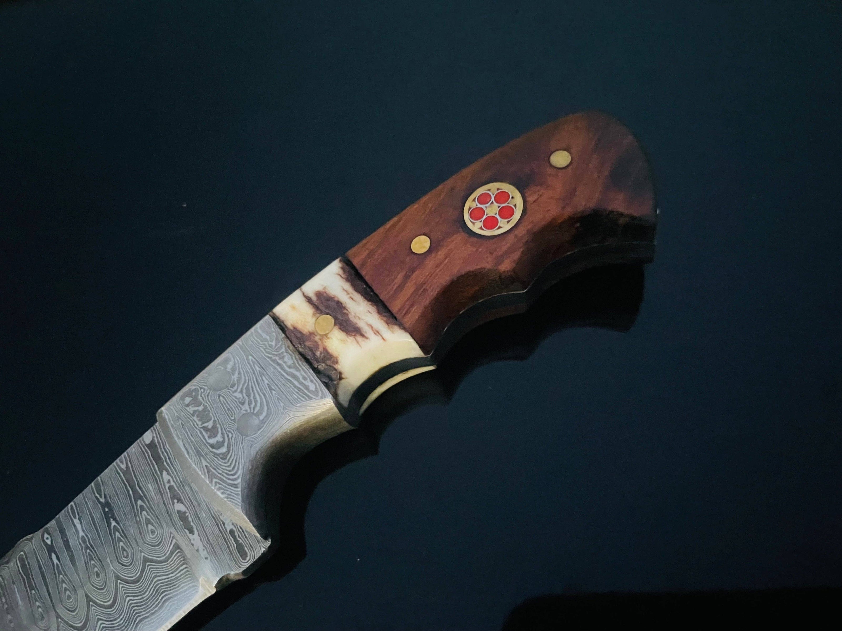 Damascus Knife with Walnut & Stag Horn Handle