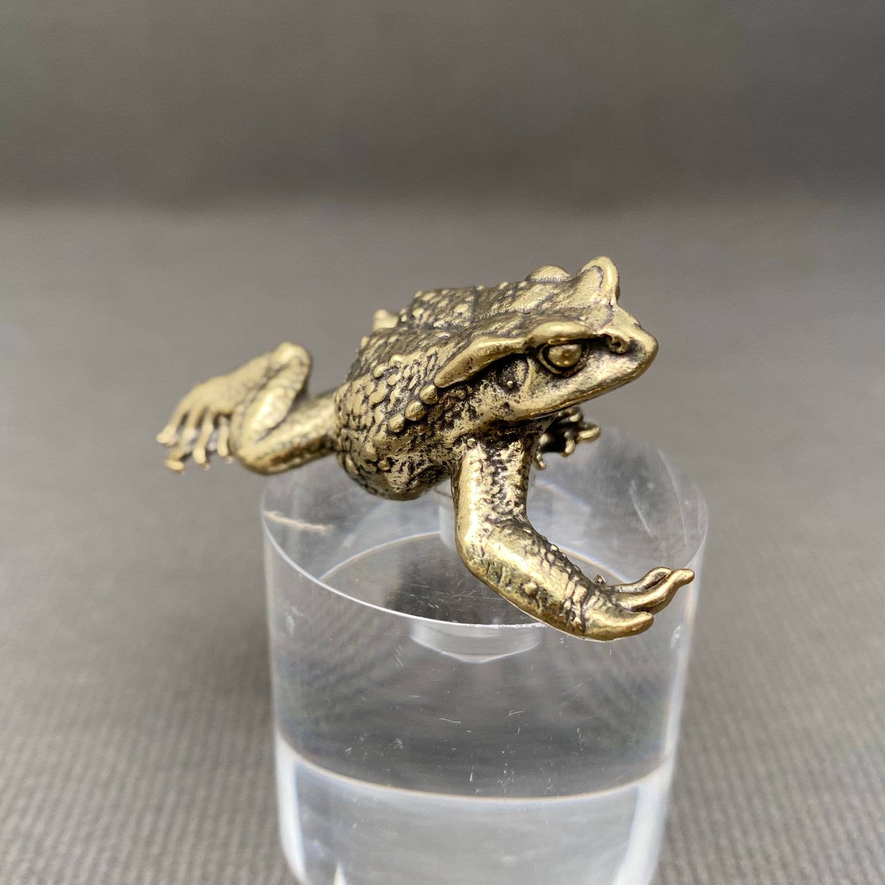 Toad Brass