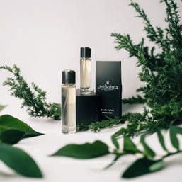 VIRAL Hair Perfume! – Long Lasting Scent, 1 fl oz