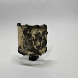 Nightlight Angus Cross Calves