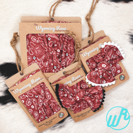 Paisley Cactus Headband