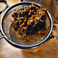 Herbal infused face & body oil