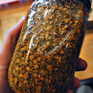 Herbal infused face & body oil