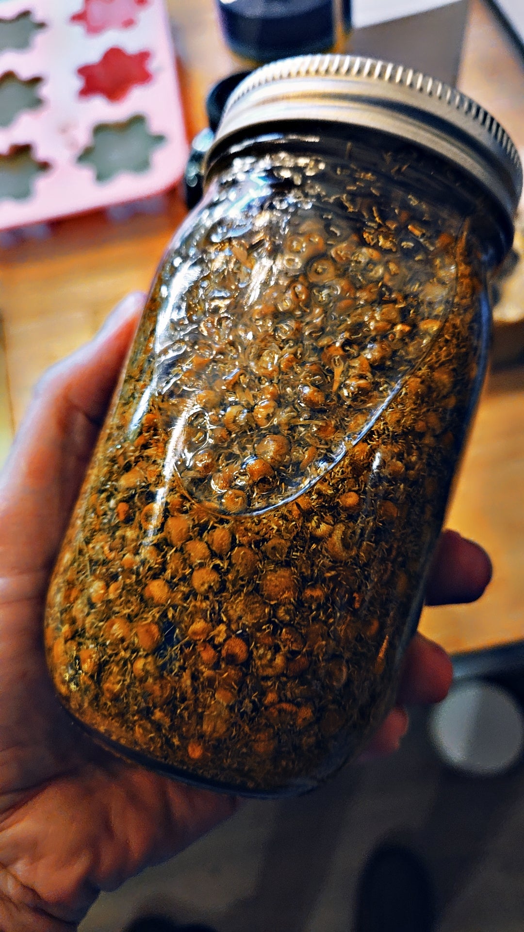 Herbal infused face & body oil