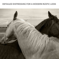Monochrome Couple Horse Canvas Wall Art