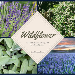 Barn & Hive Goat Milk Lotion