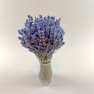 Dark Blue Lavender – Naturally Air-Dried Florals