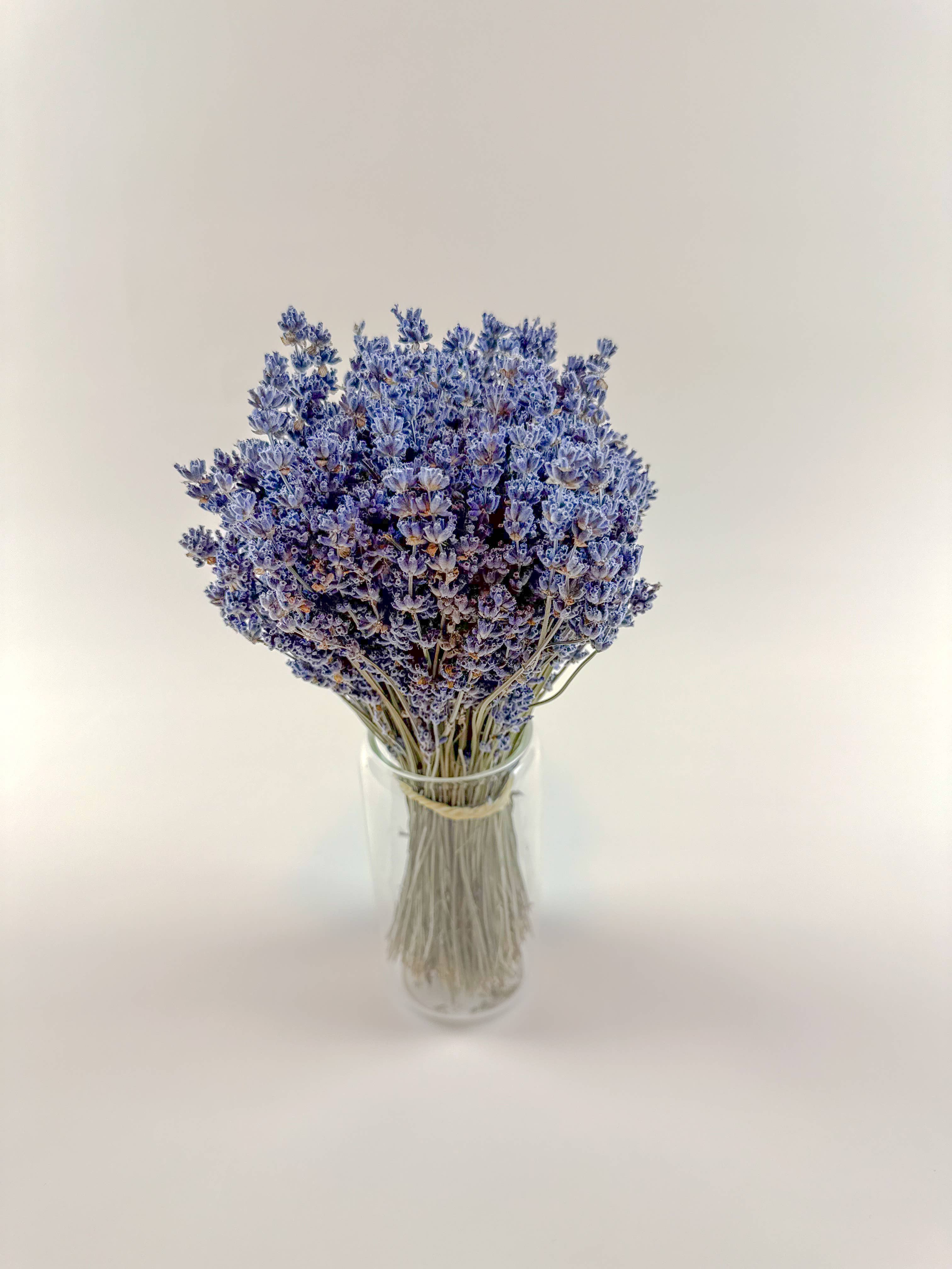 Dark Blue Lavender – Naturally Air-Dried Florals
