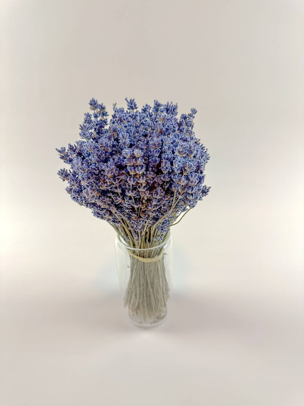 Dark Blue Lavender – Naturally Air-Dried Florals