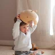 Basket Charlie the Chicken