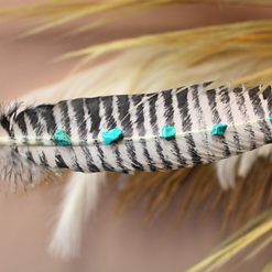 Turquoise Studded White Barred Turkey Feather