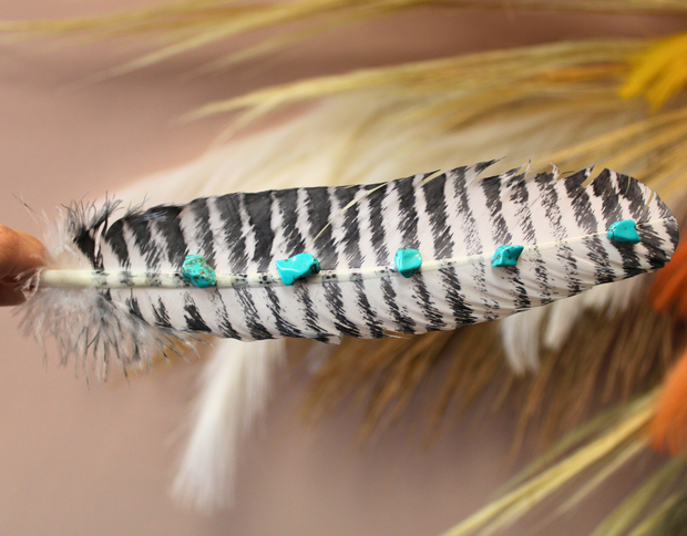 Turquoise Studded White Barred Turkey Feather