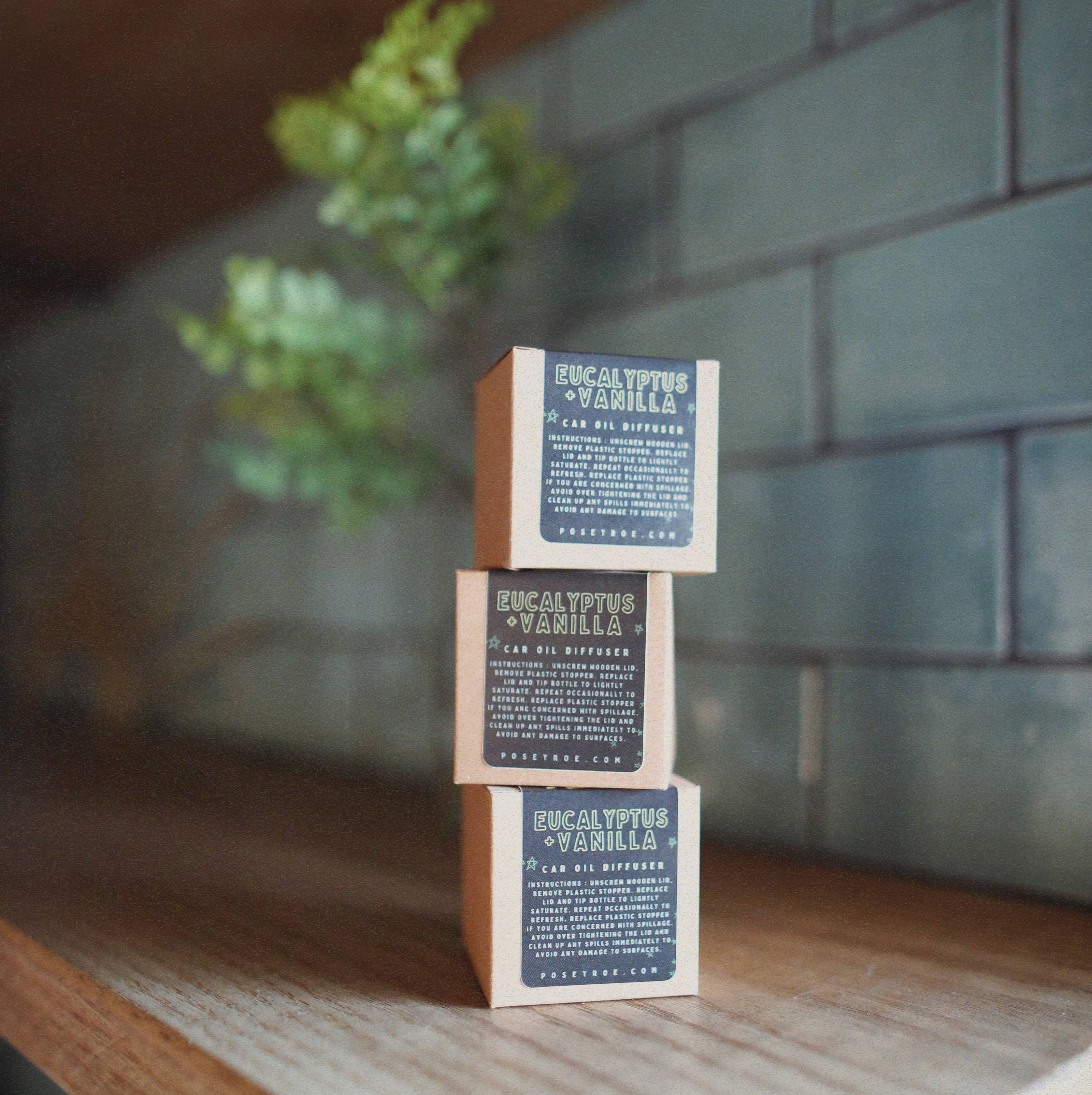 Eucalyptus + Vanilla Car Diffuser