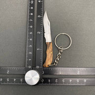 Wood & Acrylic Handle Foldable Stainless Steel Knife