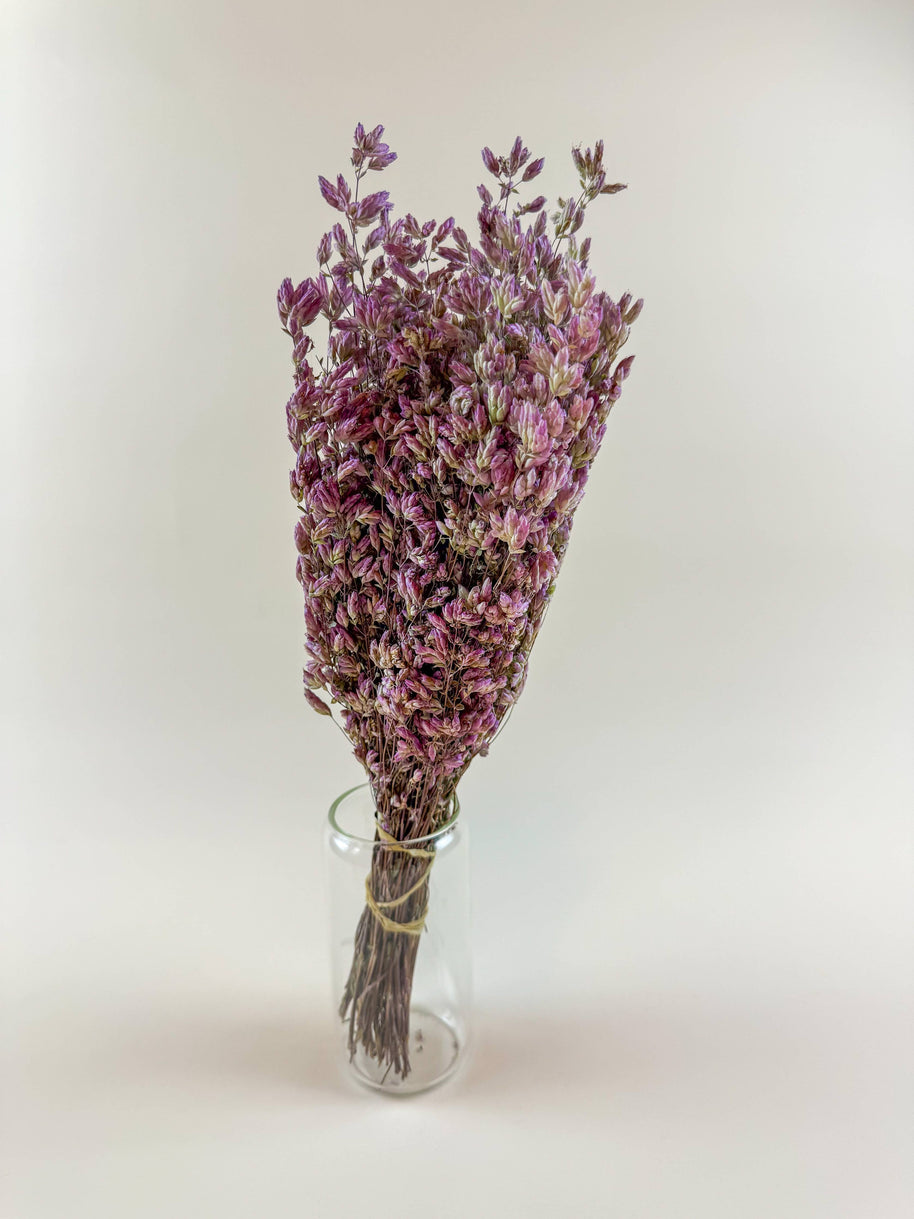 Santa Cruz Oregano – Naturally Air-Dried Decorative Herb