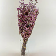 Santa Cruz Oregano – Naturally Air-Dried Decorative Herb