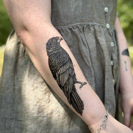 Raven Temporary Tattoo