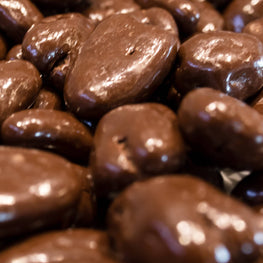 Sugar Free Chocolate Pecans - 8 oz Roadie Tub