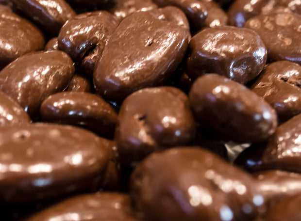 Sugar Free Chocolate Pecans - 8 oz Roadie Tub