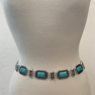 Montana Belt