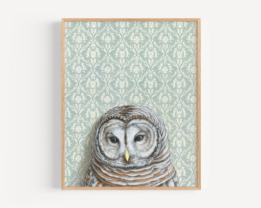 Barred Owl Light Blue Fine Art Print