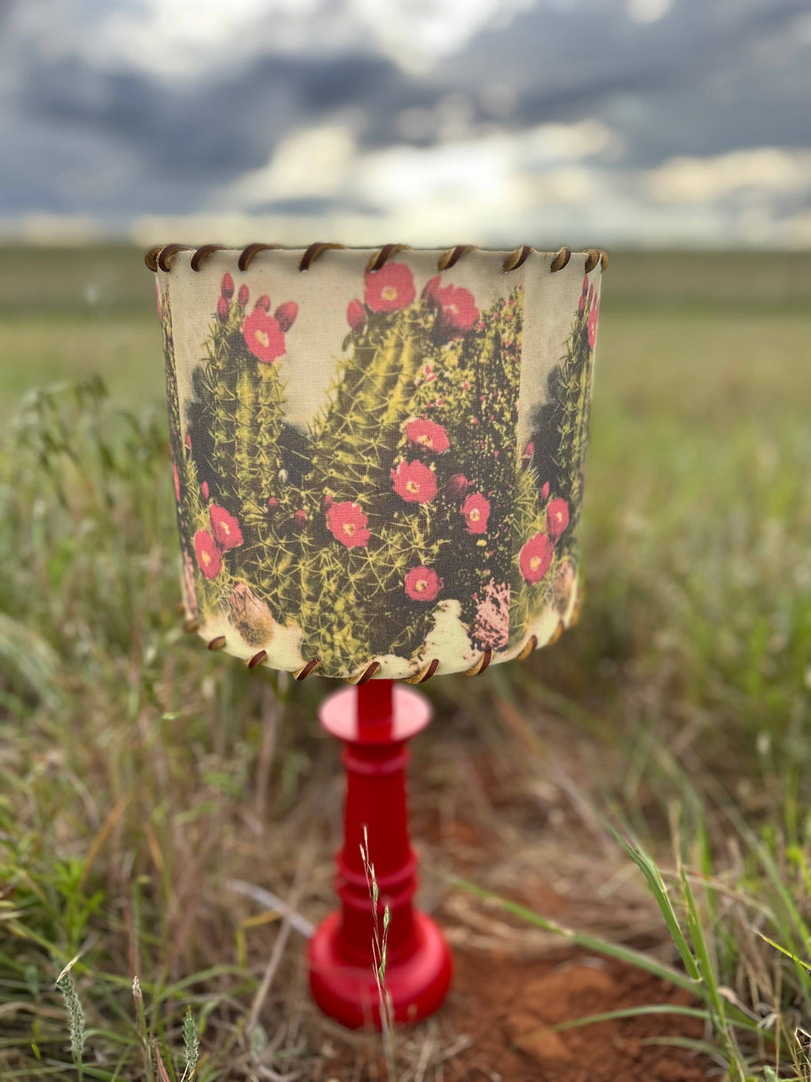Lampshade White Sands Cactus, 11-14 inch
