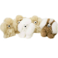 Alpaca Dog Puppy Cute Cuddly 12