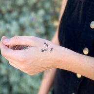 Desert Wild Temporary Tattoo