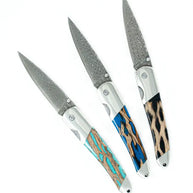 Cholla Cactus Damascus 4