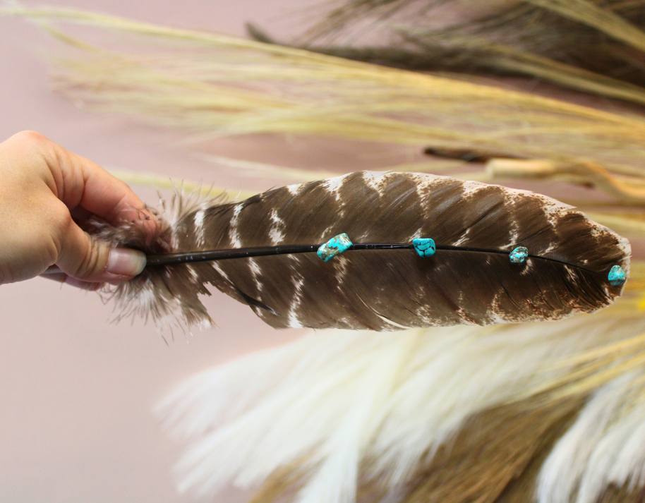 Turquoise Studded Natural Barred Turkey Feathers