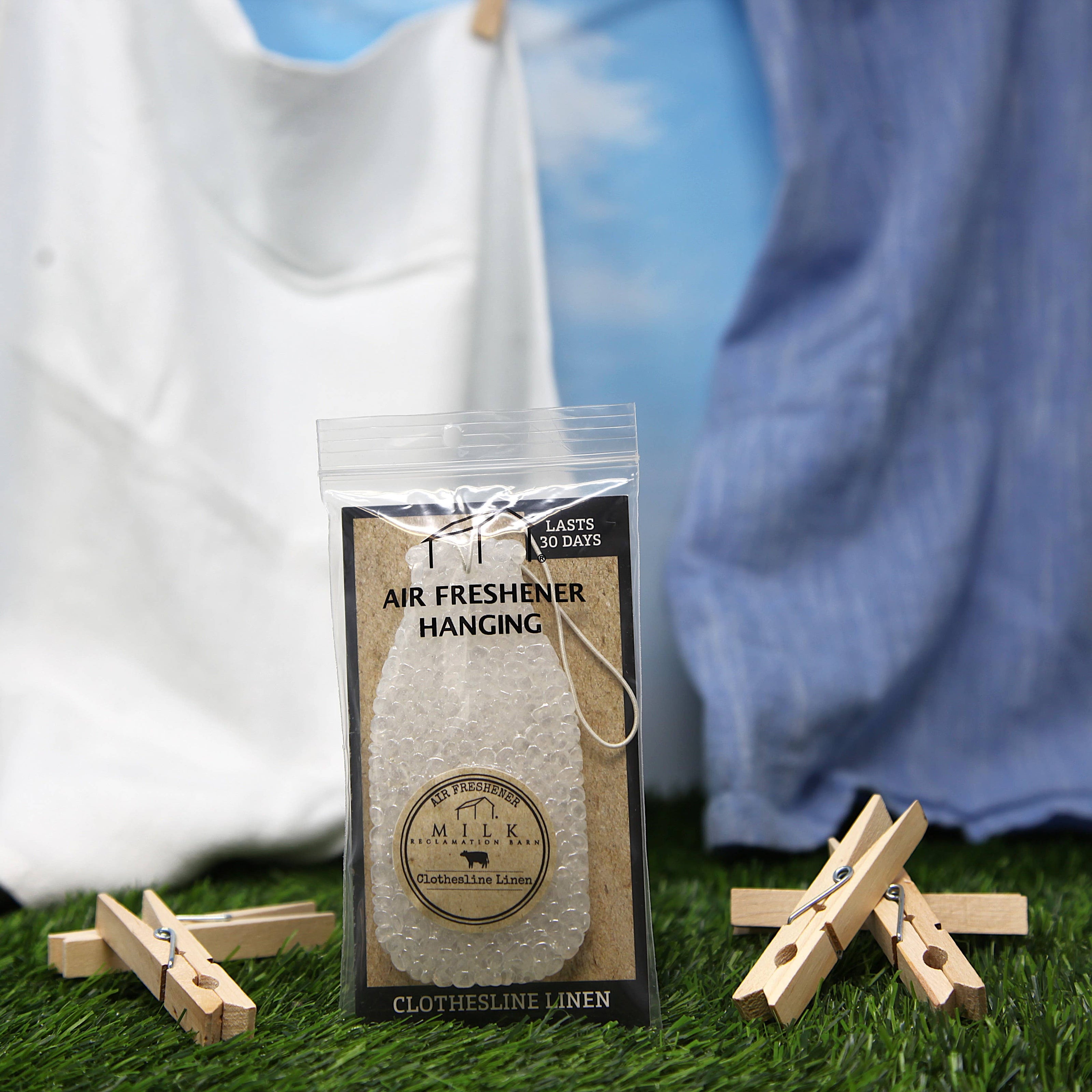 Car Air Freshener Hanging