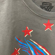 Free Bird Relaxed Crop T-shirt